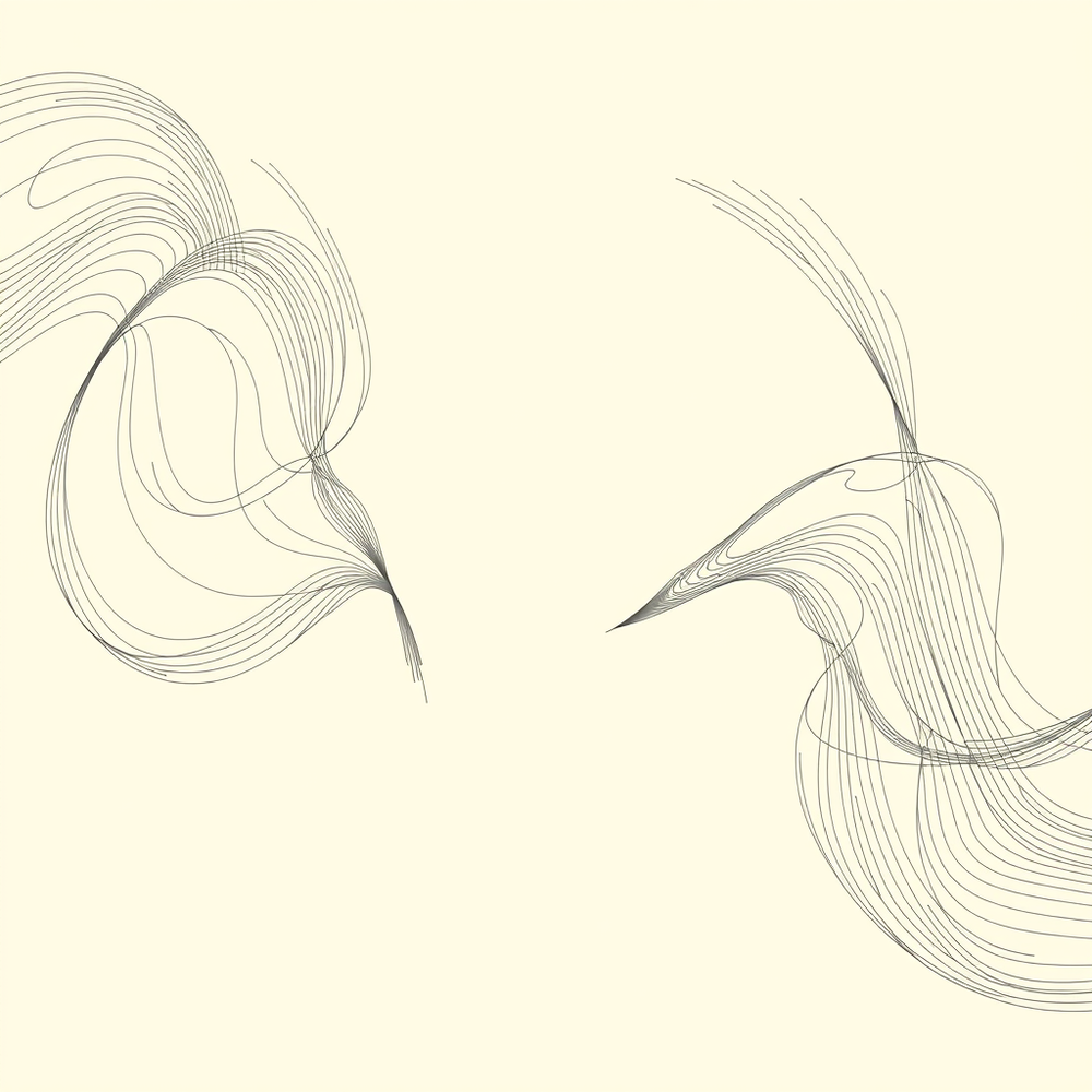 Abstract line art website