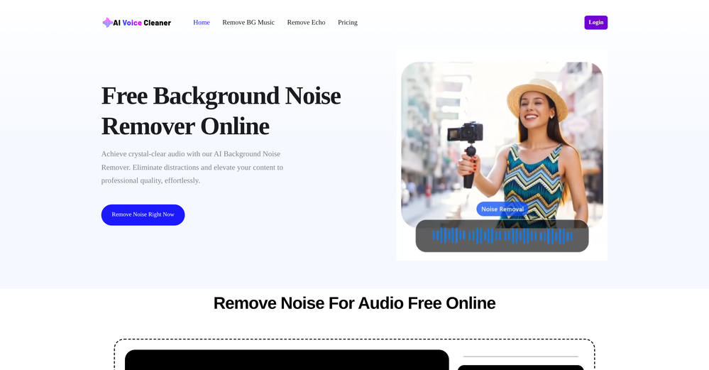 AI Voice Cleaner website