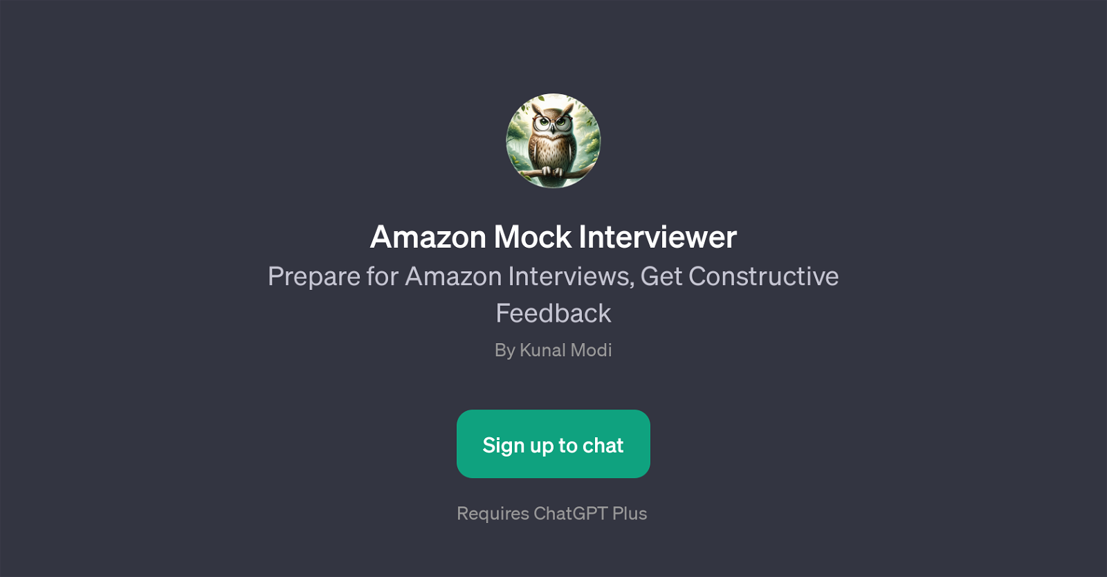Amazon Mock Interviewer website