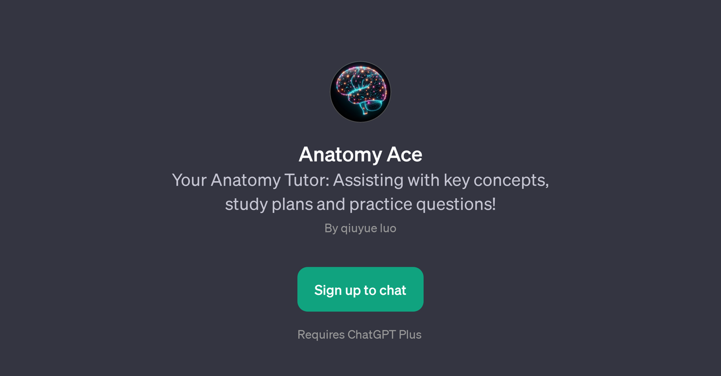 Anatomy Ace website