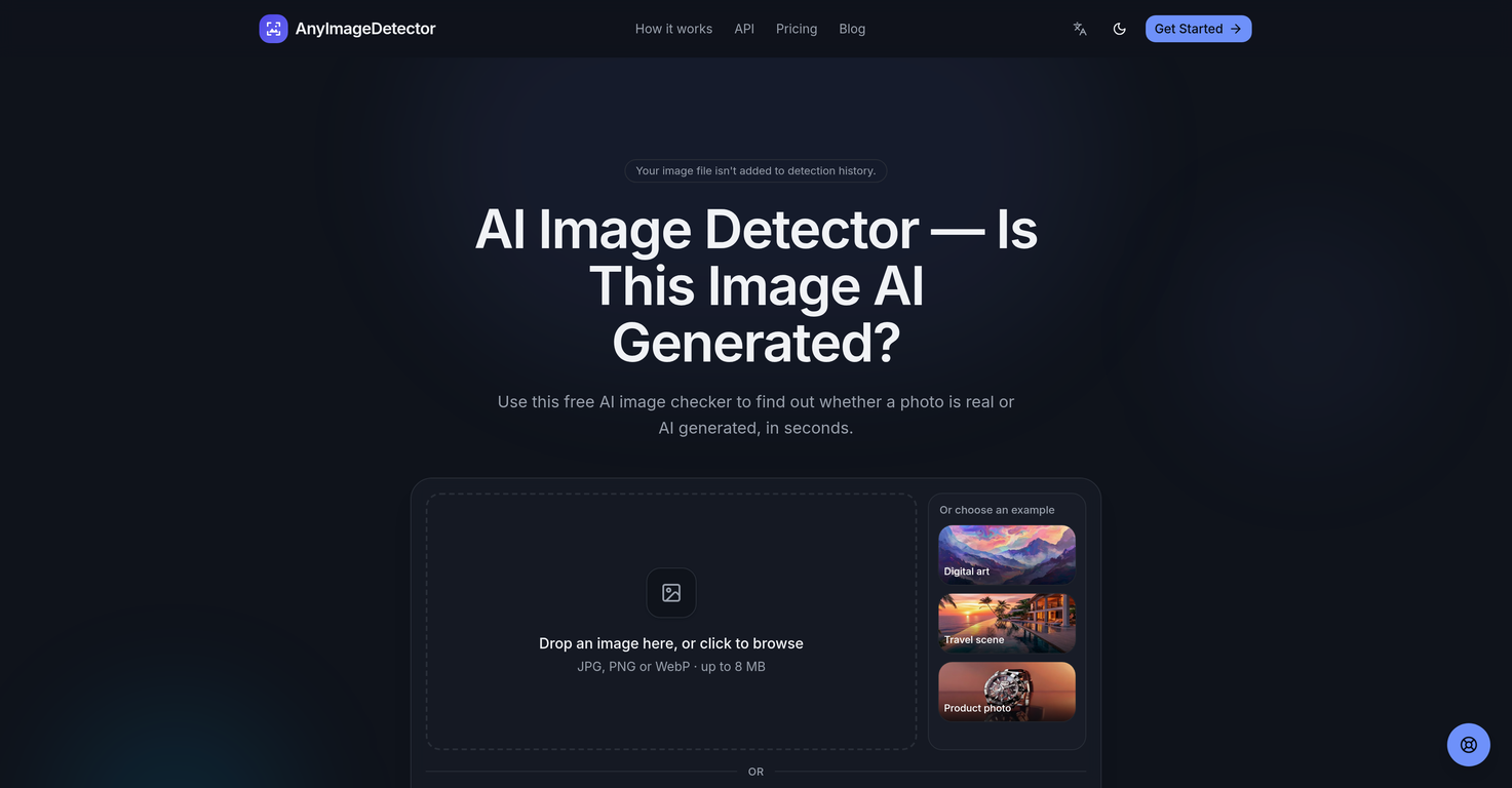 AnyImageDetector website