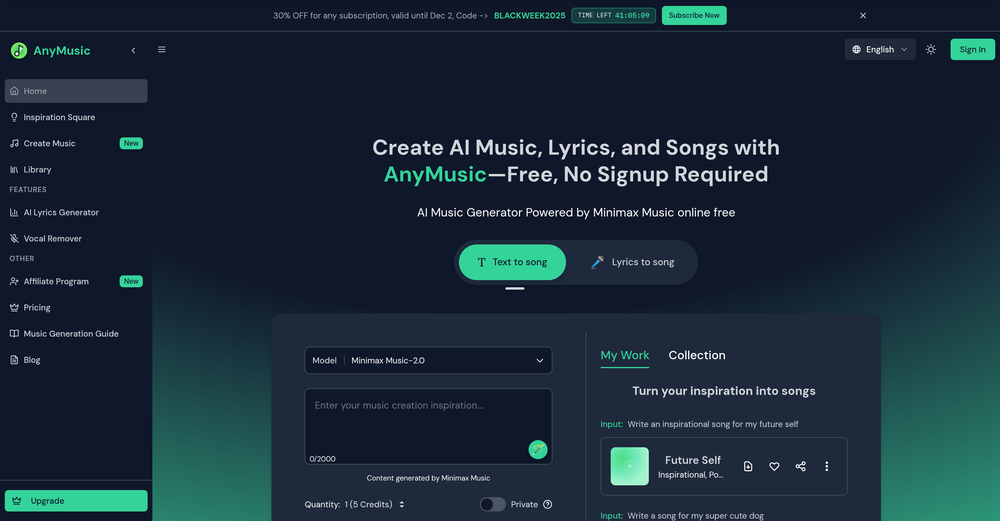 AnyMusic website