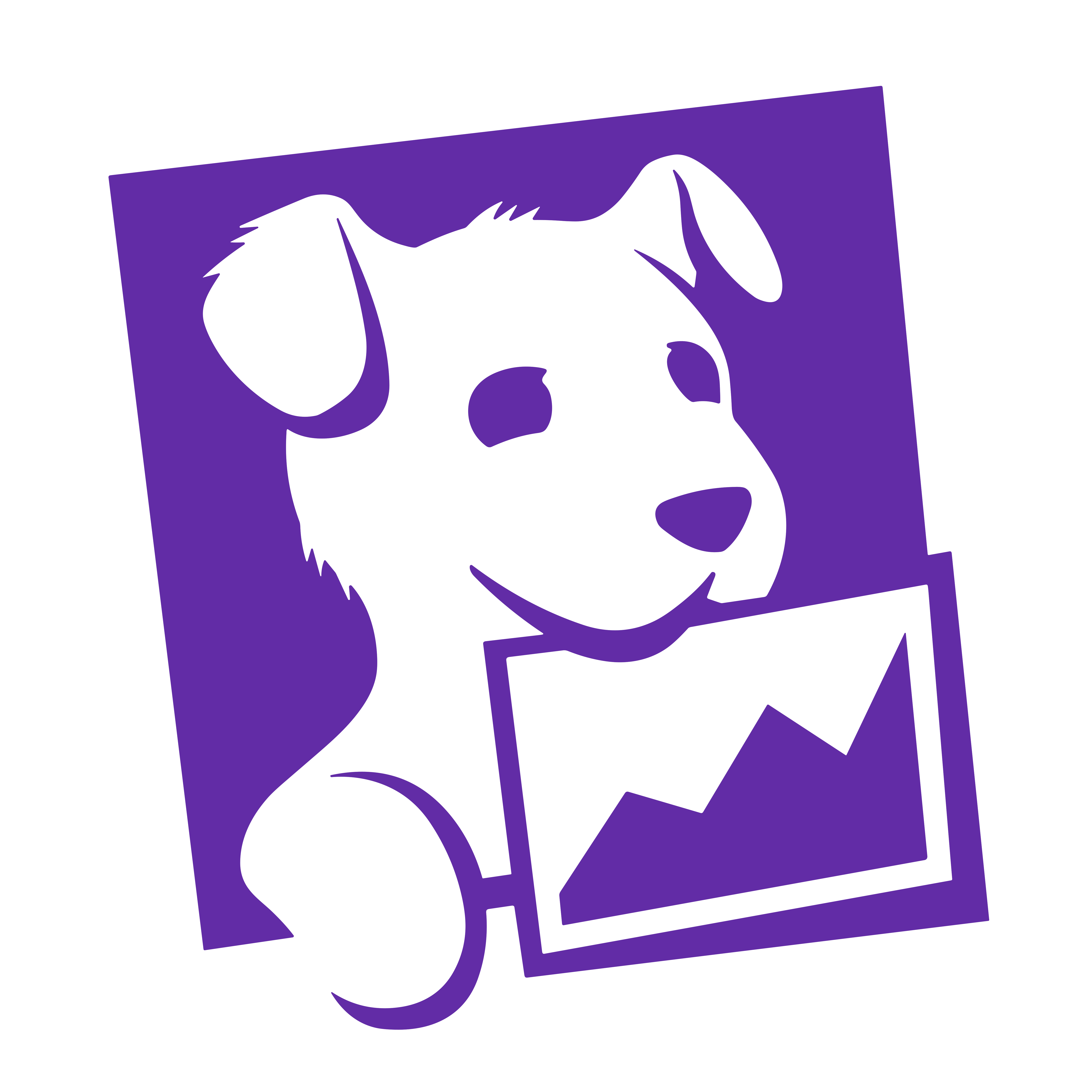 DataDog