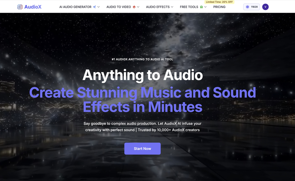 AudioX website