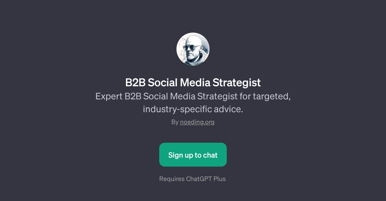 B2B Social Media Strategist website