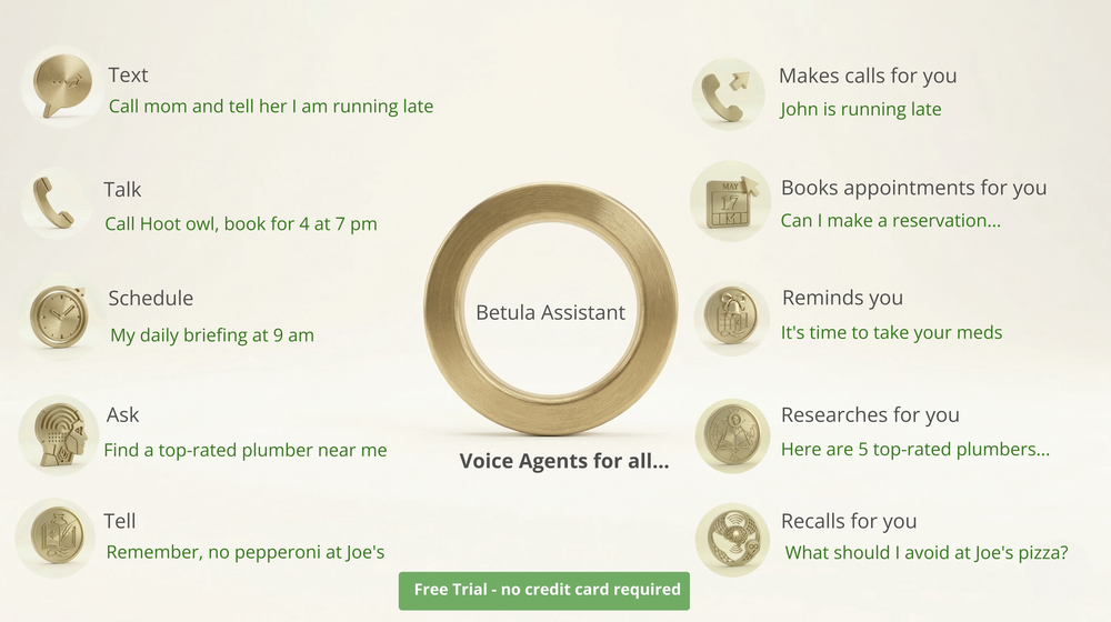 Betula Assistant website