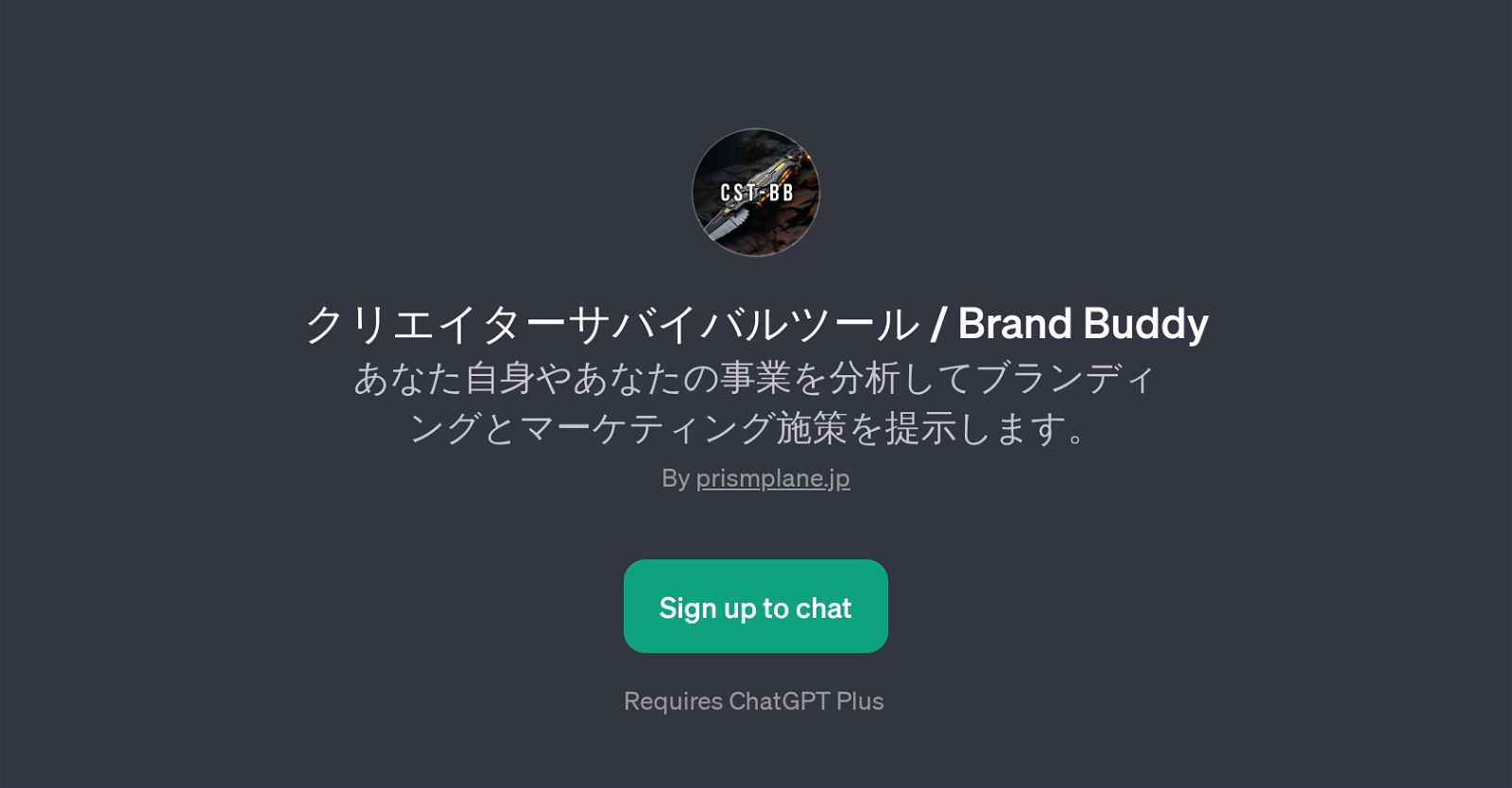 / Brand Buddy website