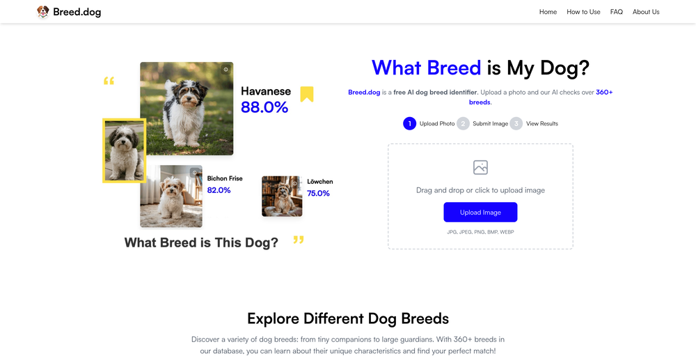 Jackerman 3d k9 There's An AI For That®