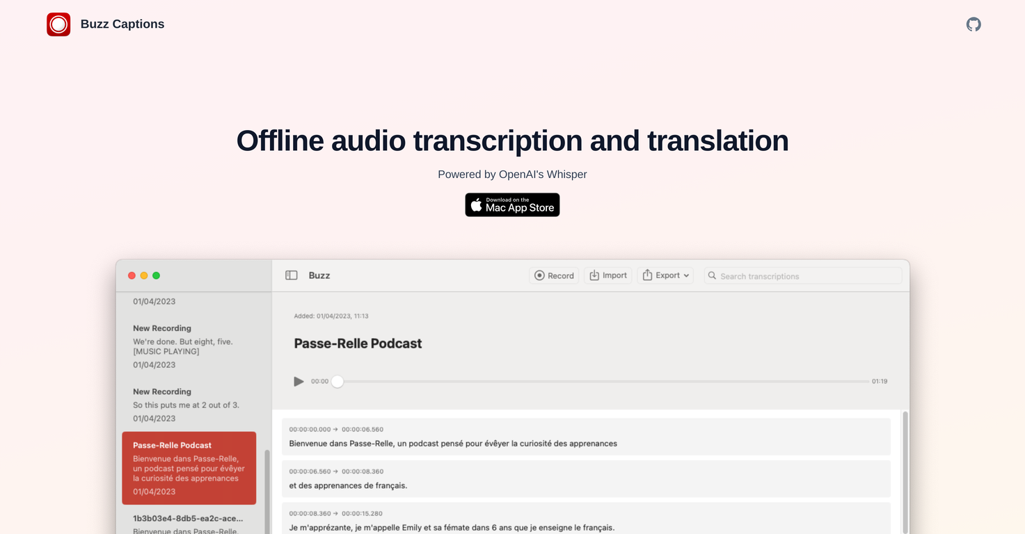 Buzz Captions website