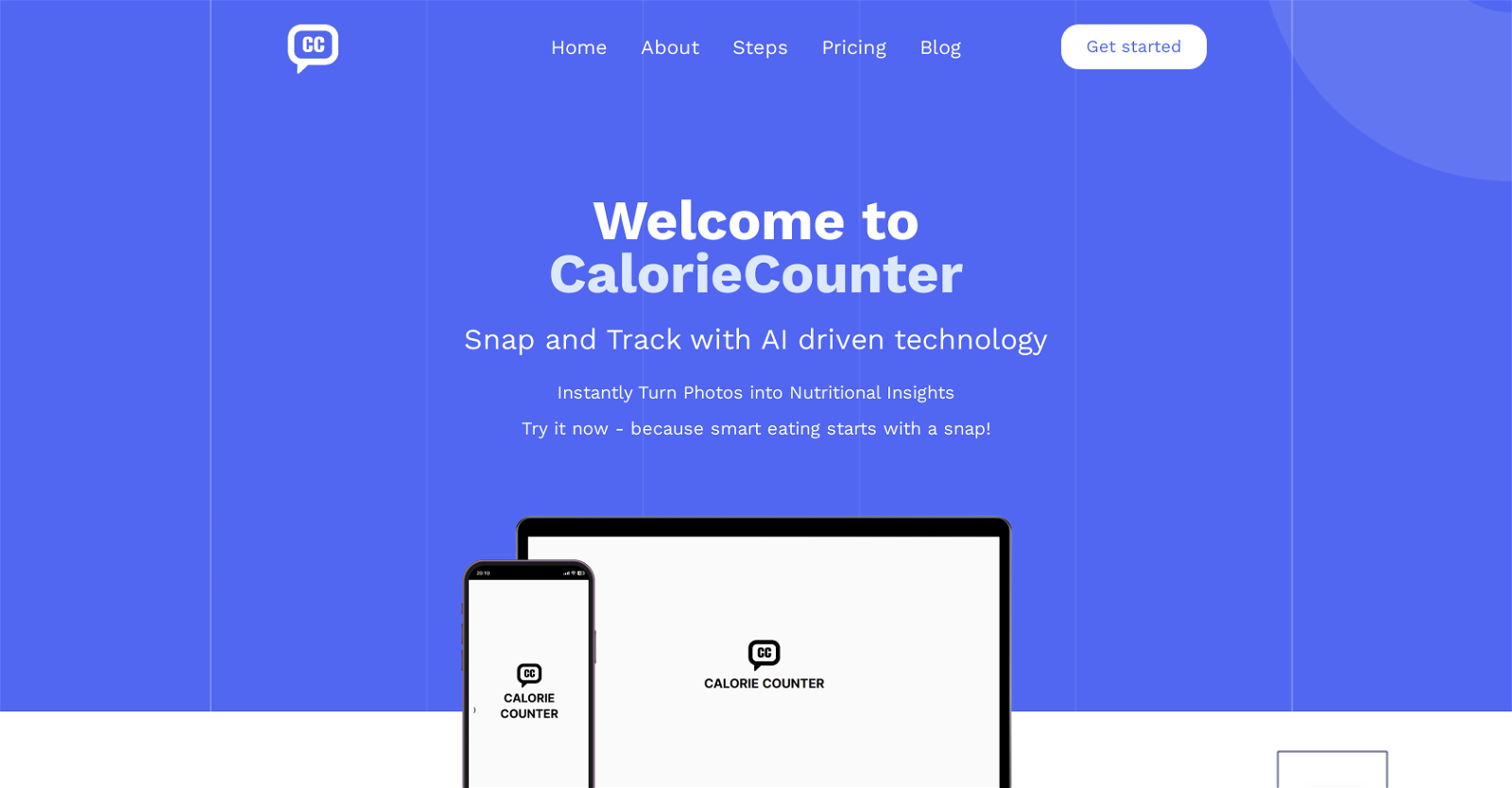 Calorie Counter website
