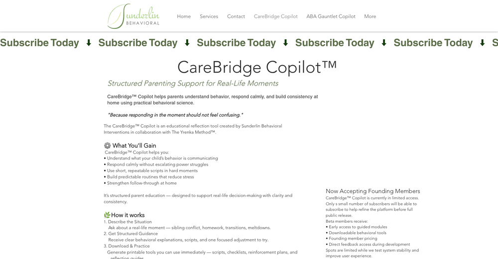 CareBridge Copilot website