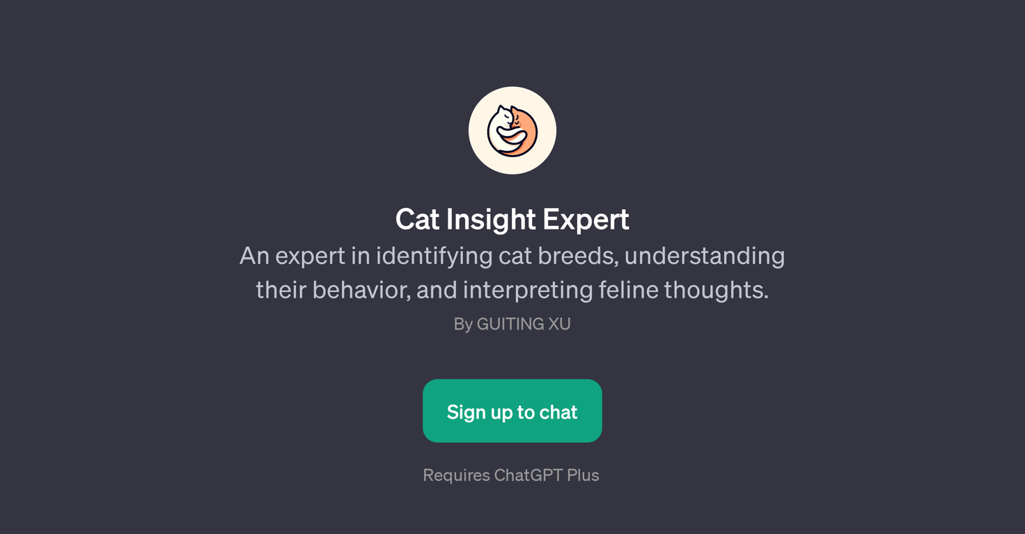 Cat Insight Expert website