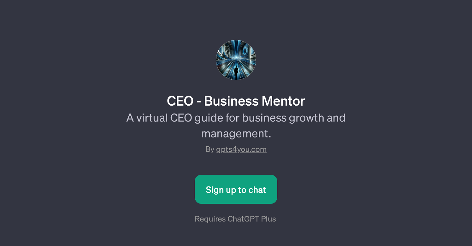 CEO - Business Mentor website