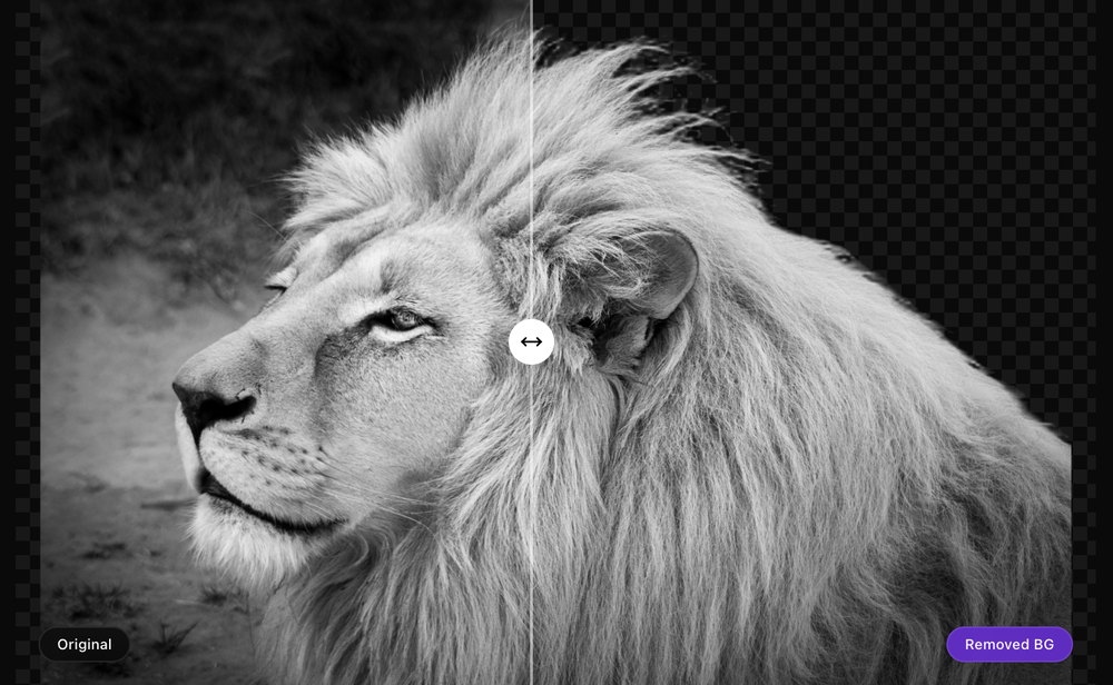 ClipBG - AI Background Remover & Bulk Editor website