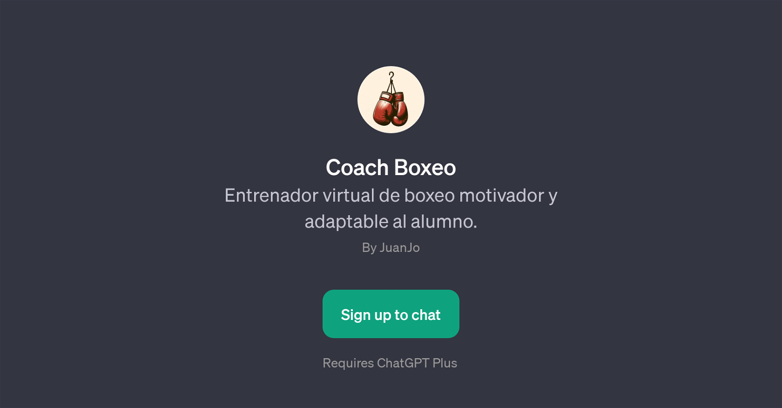 Coach Boxeo website