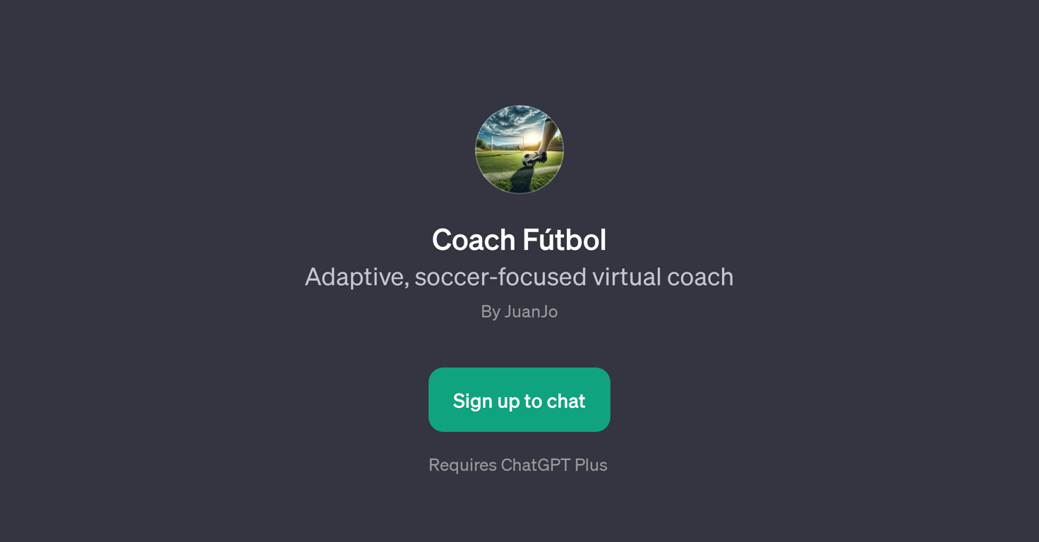 Coach Ftbol website