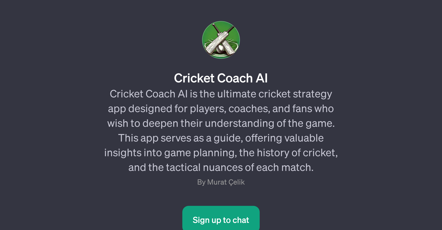 Cricket Coach AI website