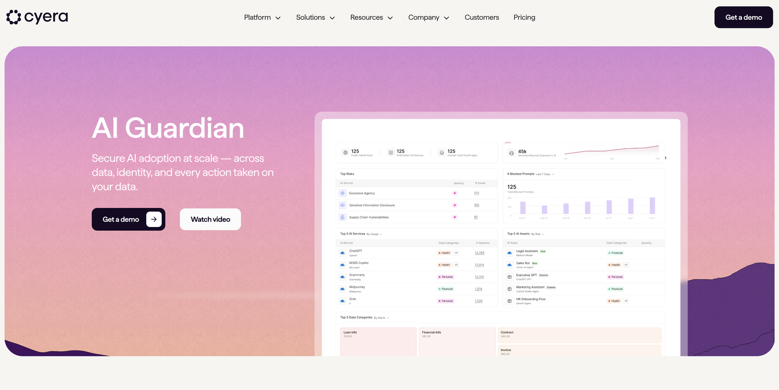 Cyera website
