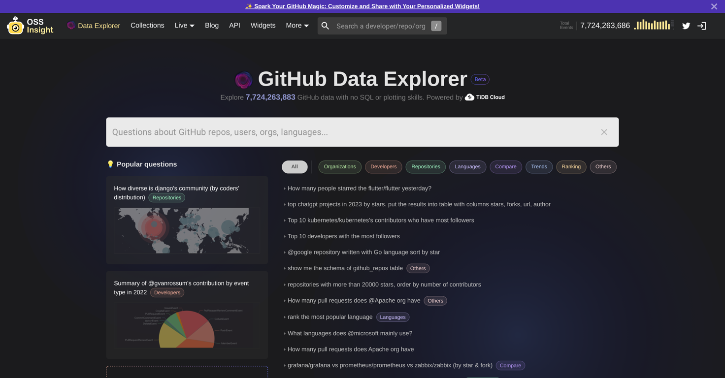 GitHub Data Explorer website