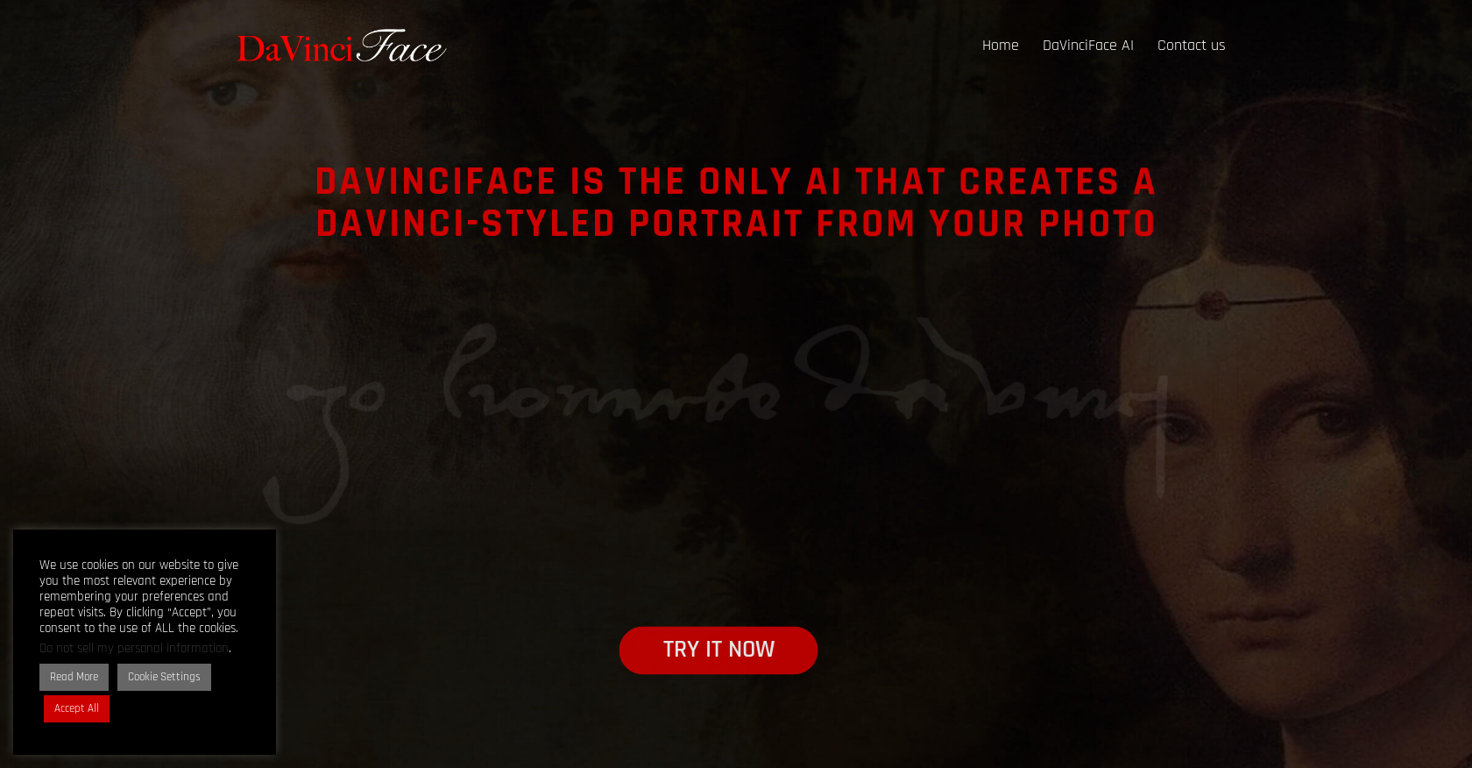 DaVinciFace website