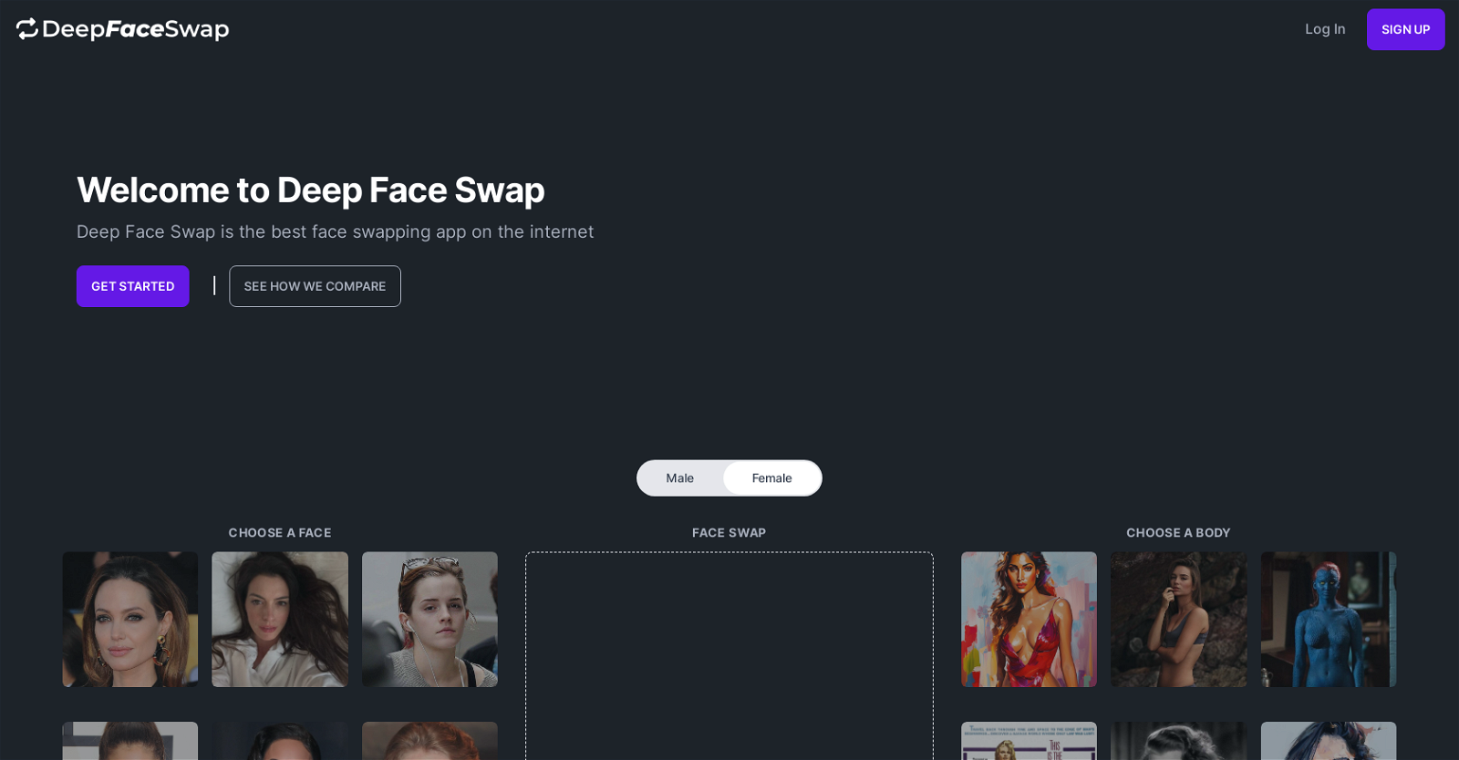 Deep Face Swap website