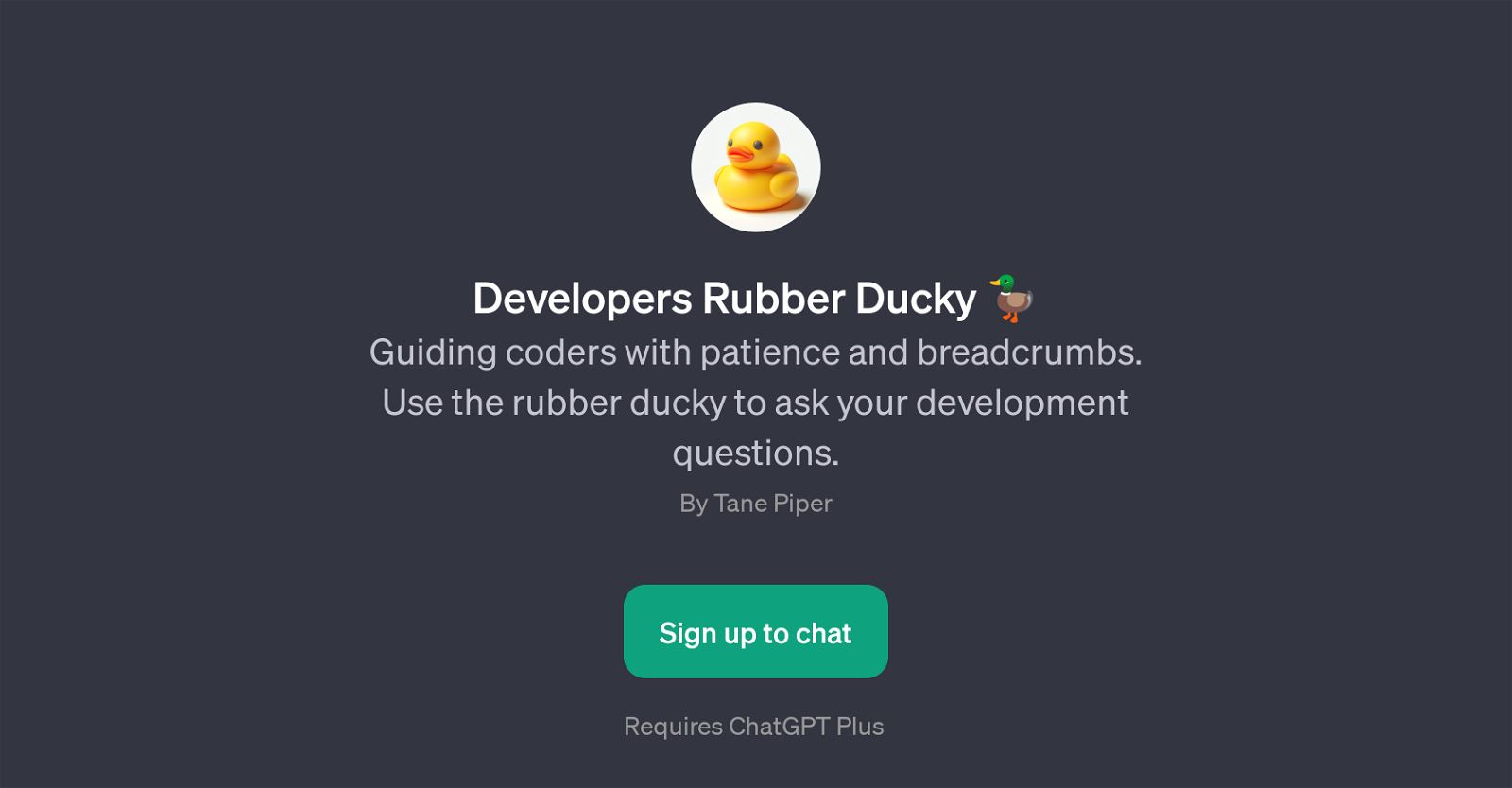 Developers Rubber Ducky website