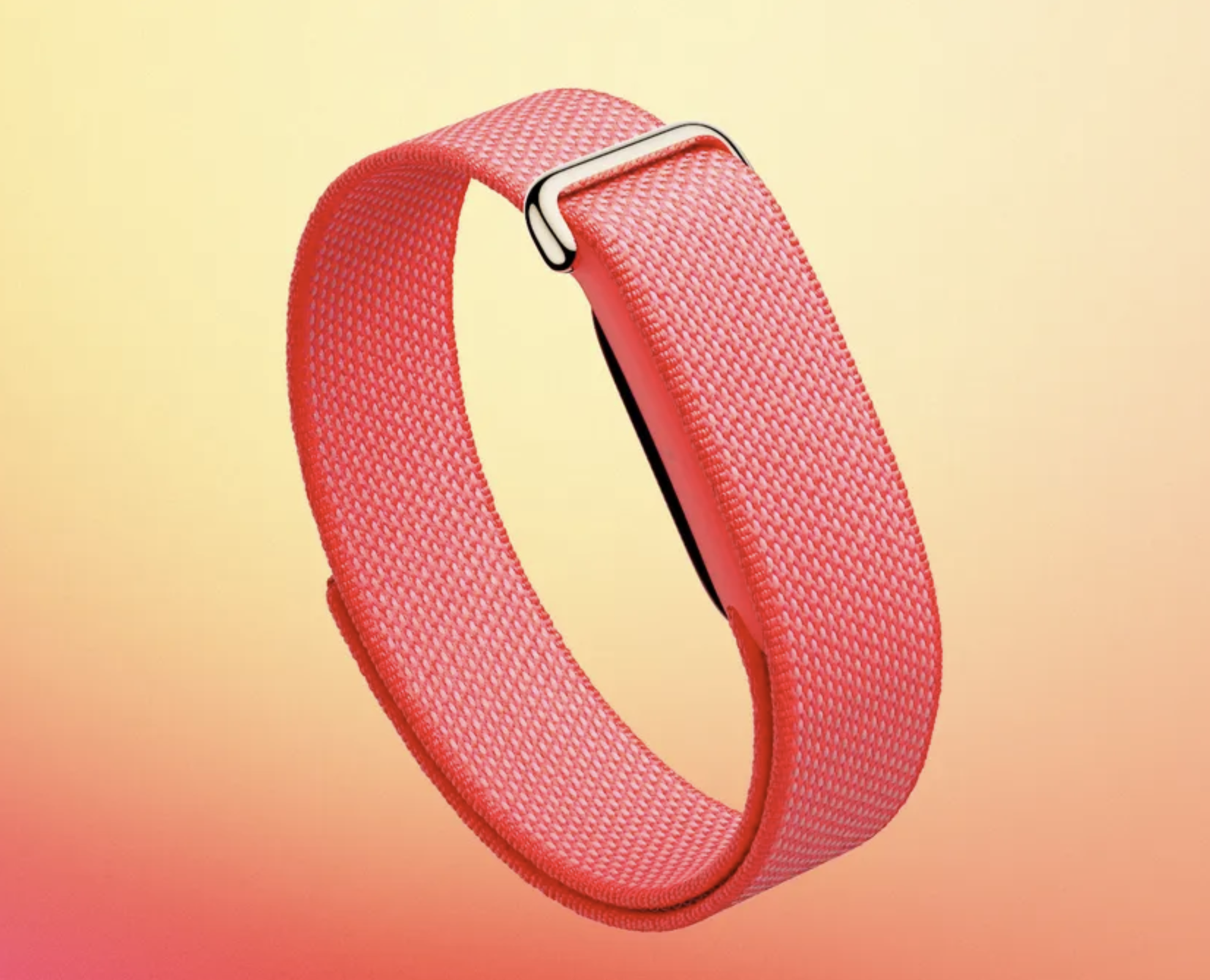 Fitbit Air image