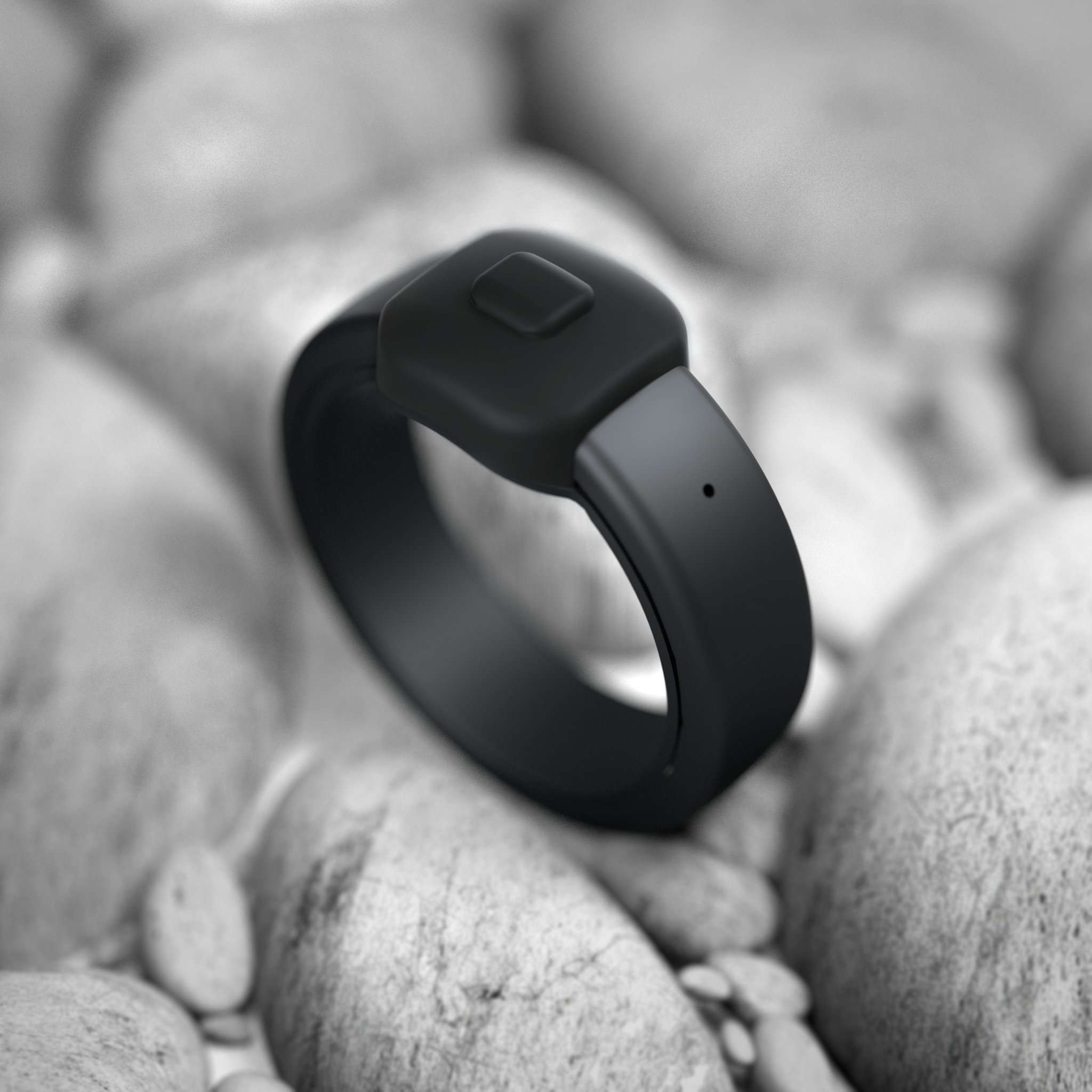 Pebble Index 01 image
