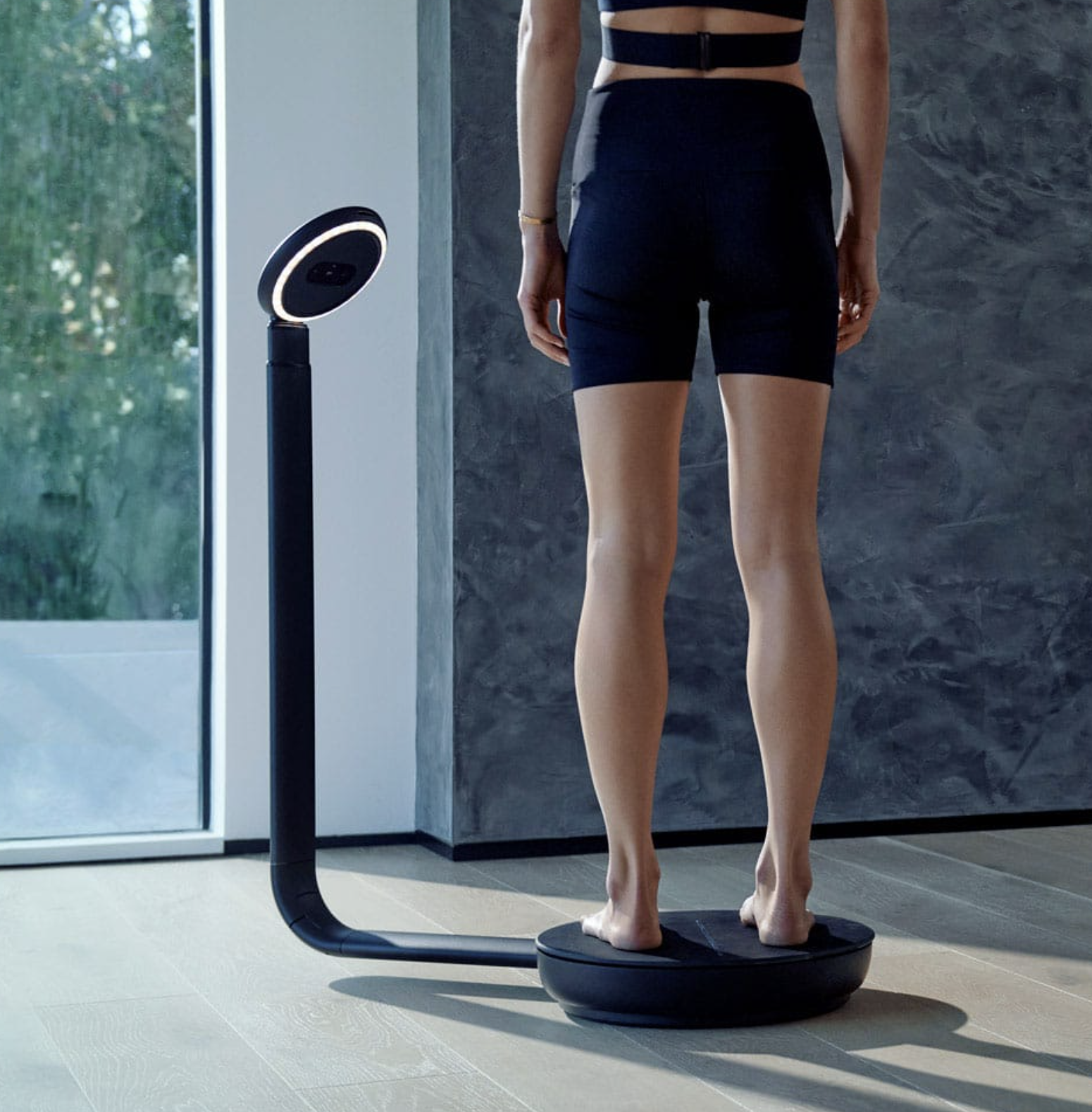 ShapeScale image