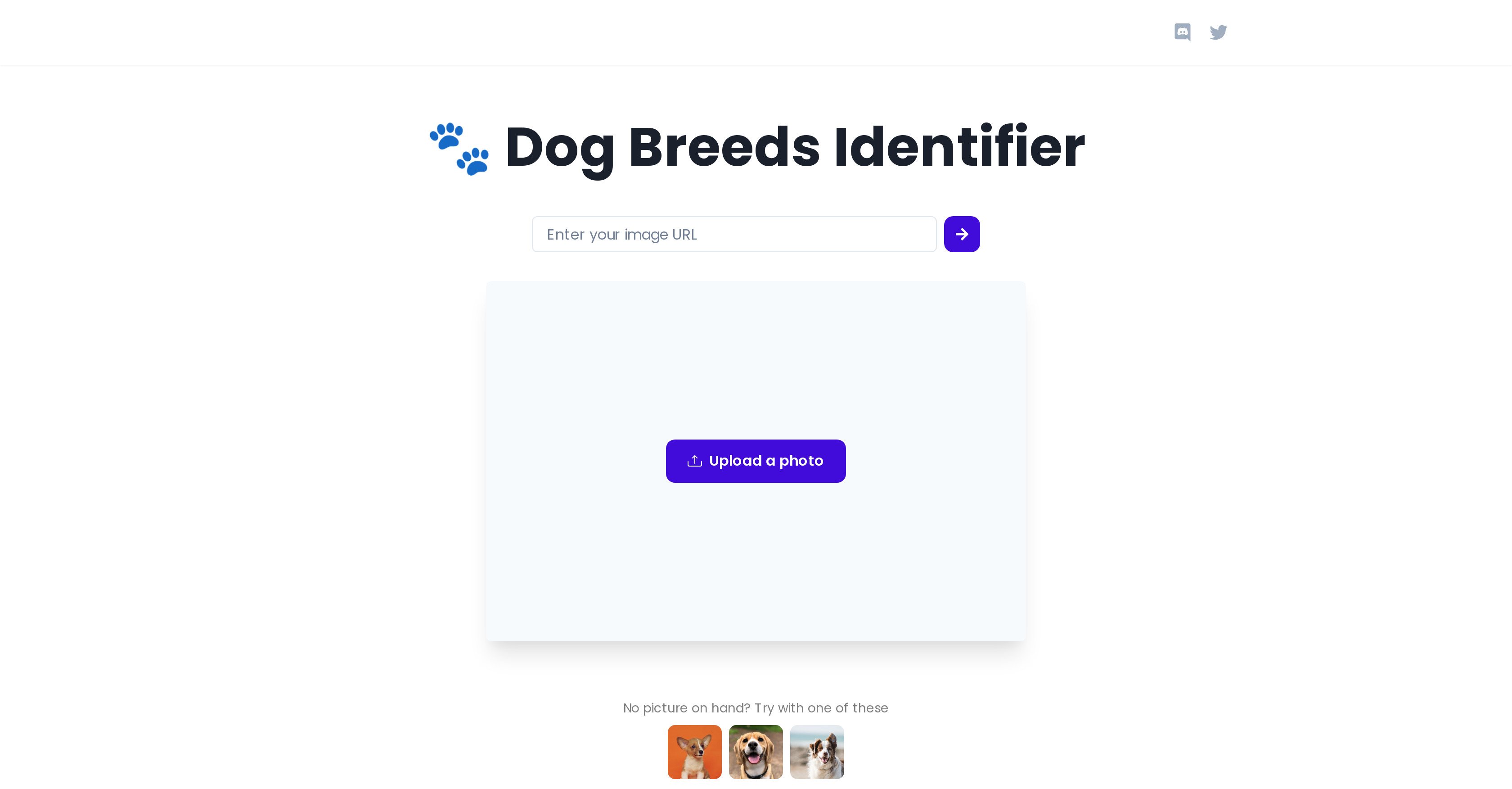 Dog Breeds Identifier's Picture'