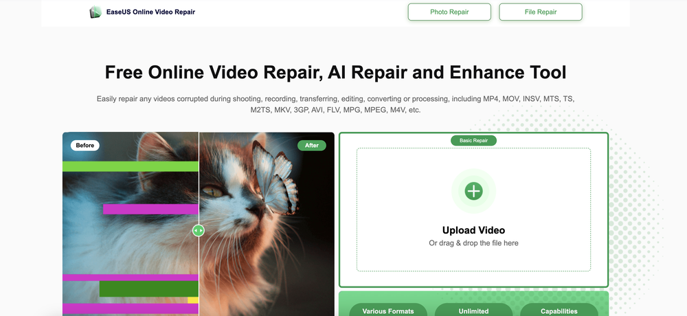 EaseUS Online Video Repair website