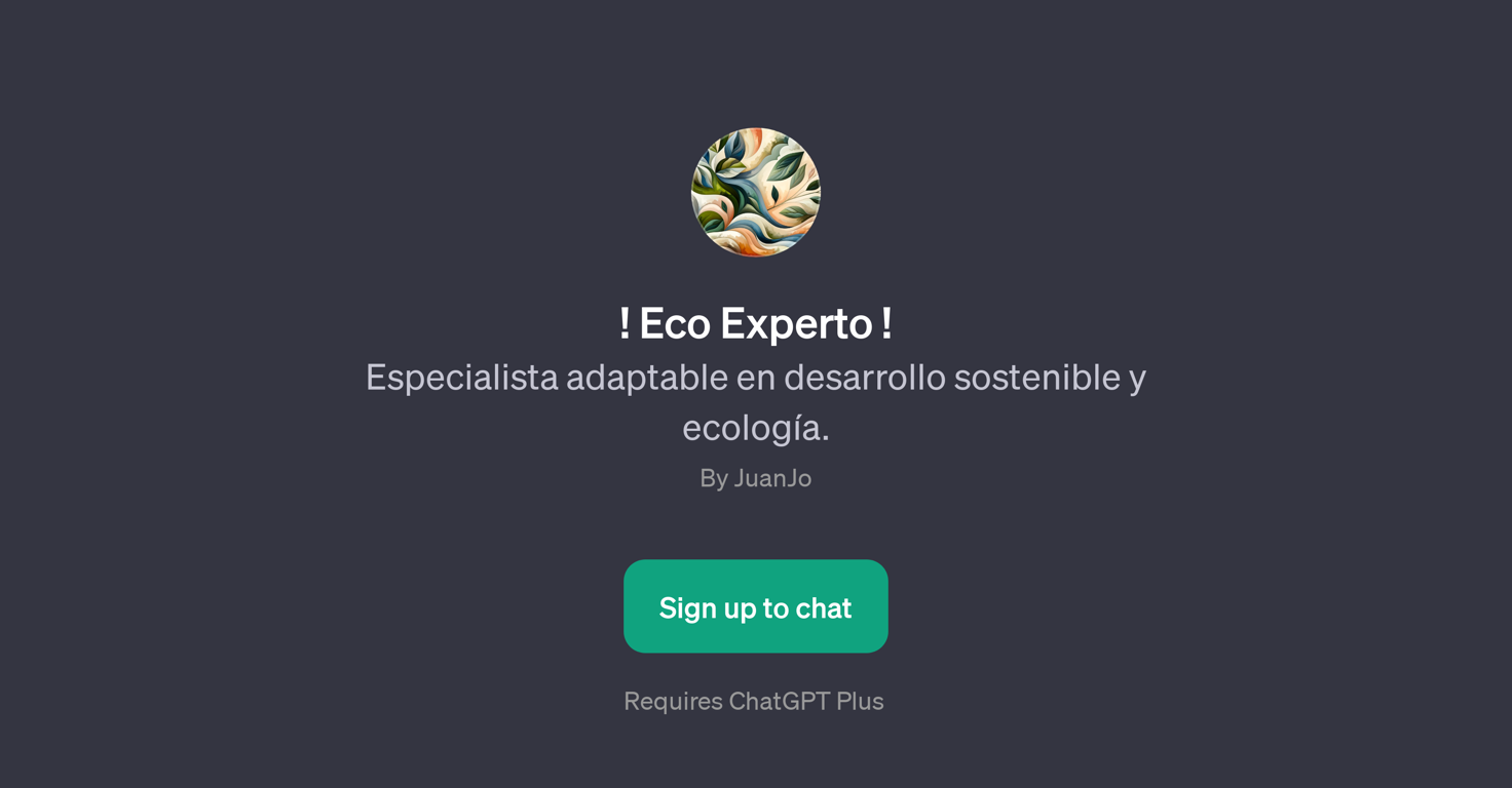 Eco Experto website