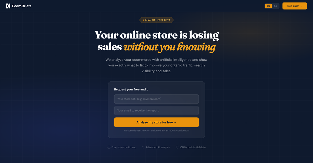 EcomBriefs website