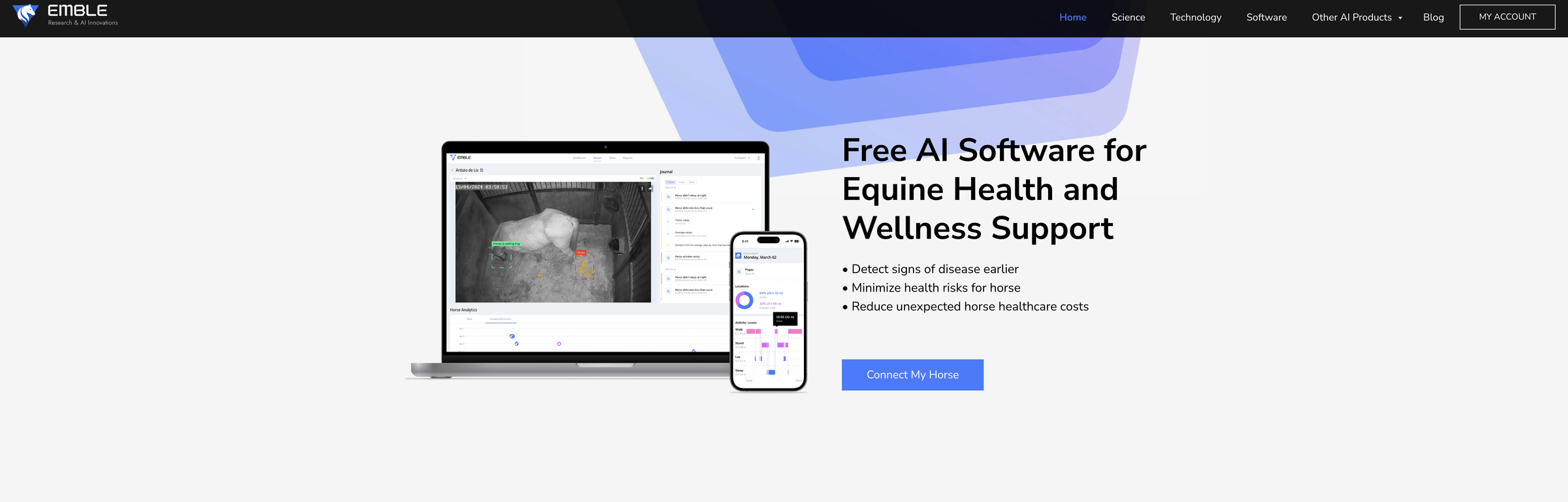 Emble Pro website