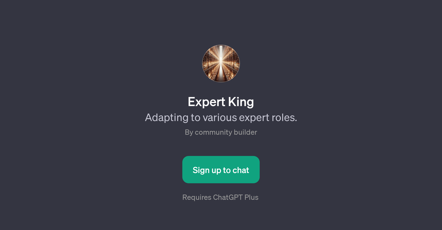Expert King website