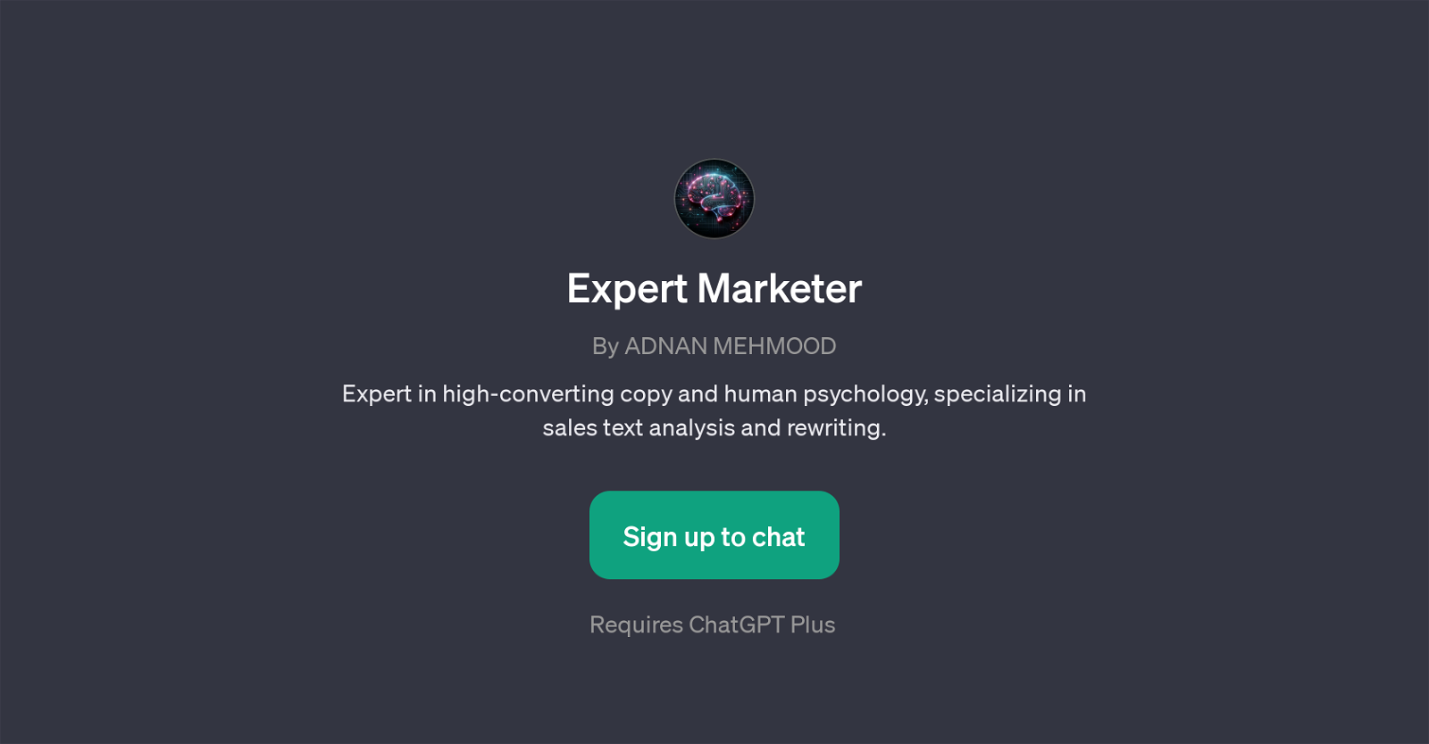 Expert Marketer website