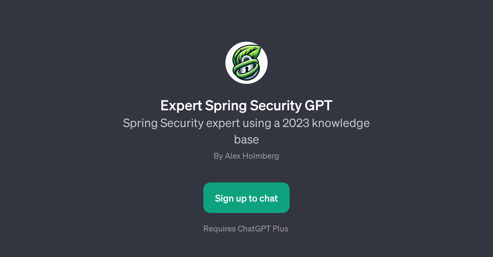 Expert Spring Security GPT website