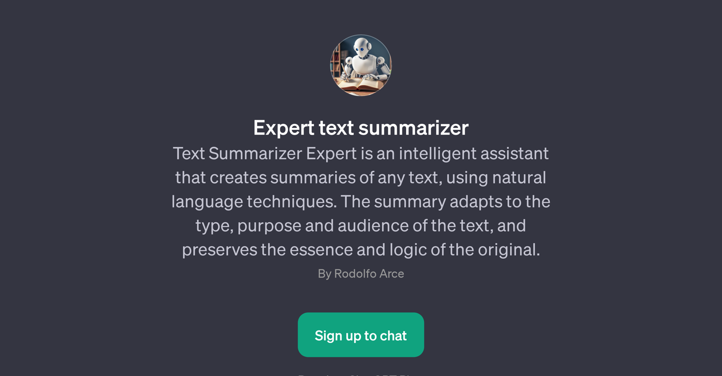 Expert Text Summarizer website