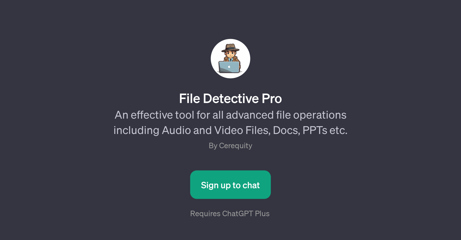 File Detective Pro website