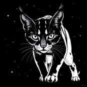 Top generation
