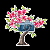 Top generation