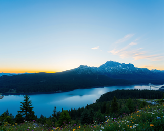 Top generation