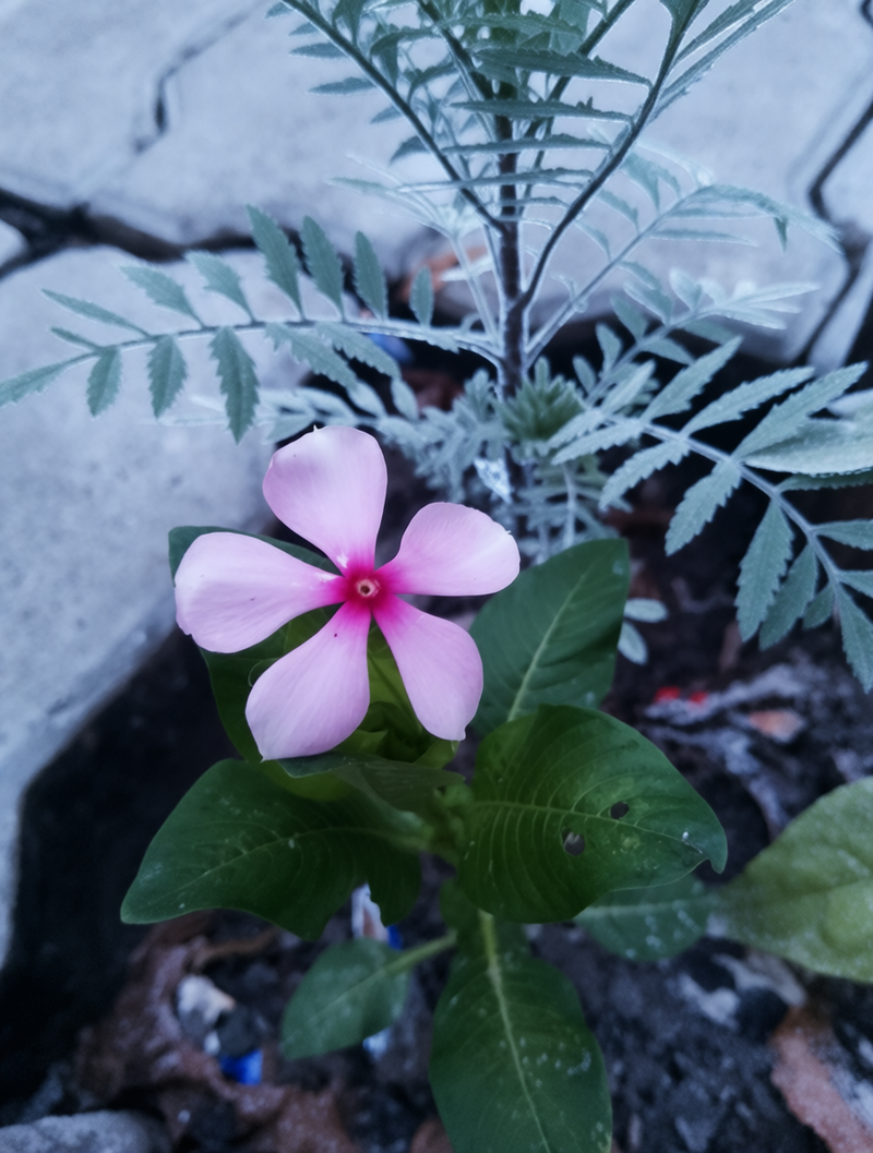 ustarcom generated image