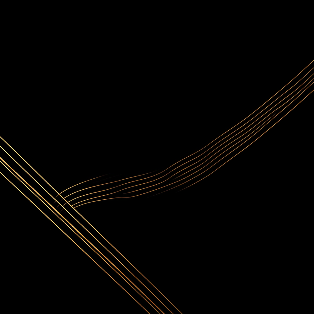 Golden line art website