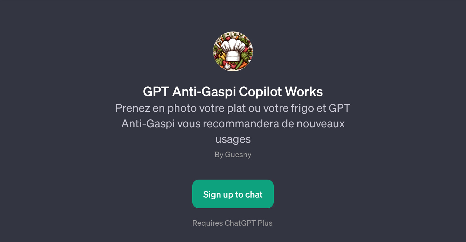 GPT Anti-Gaspi Copilot website