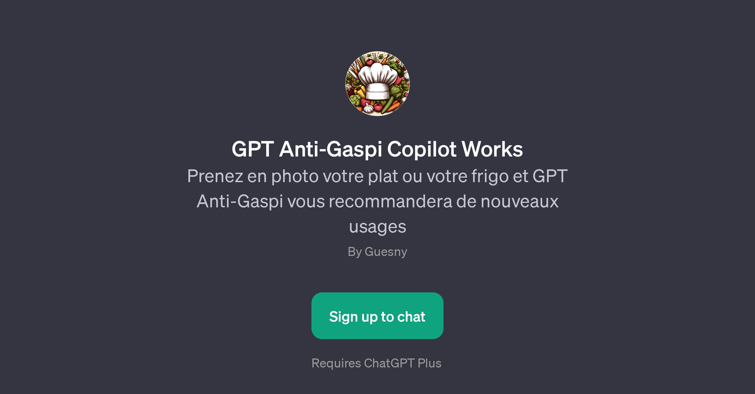 GPT Anti-Gaspi Copilot website