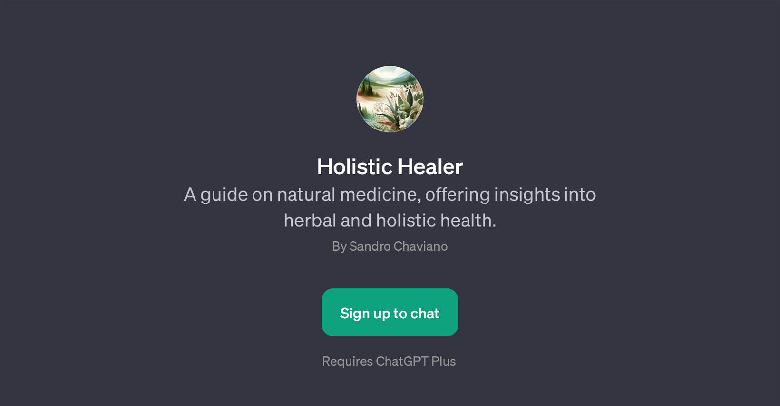 Holistic Healer website