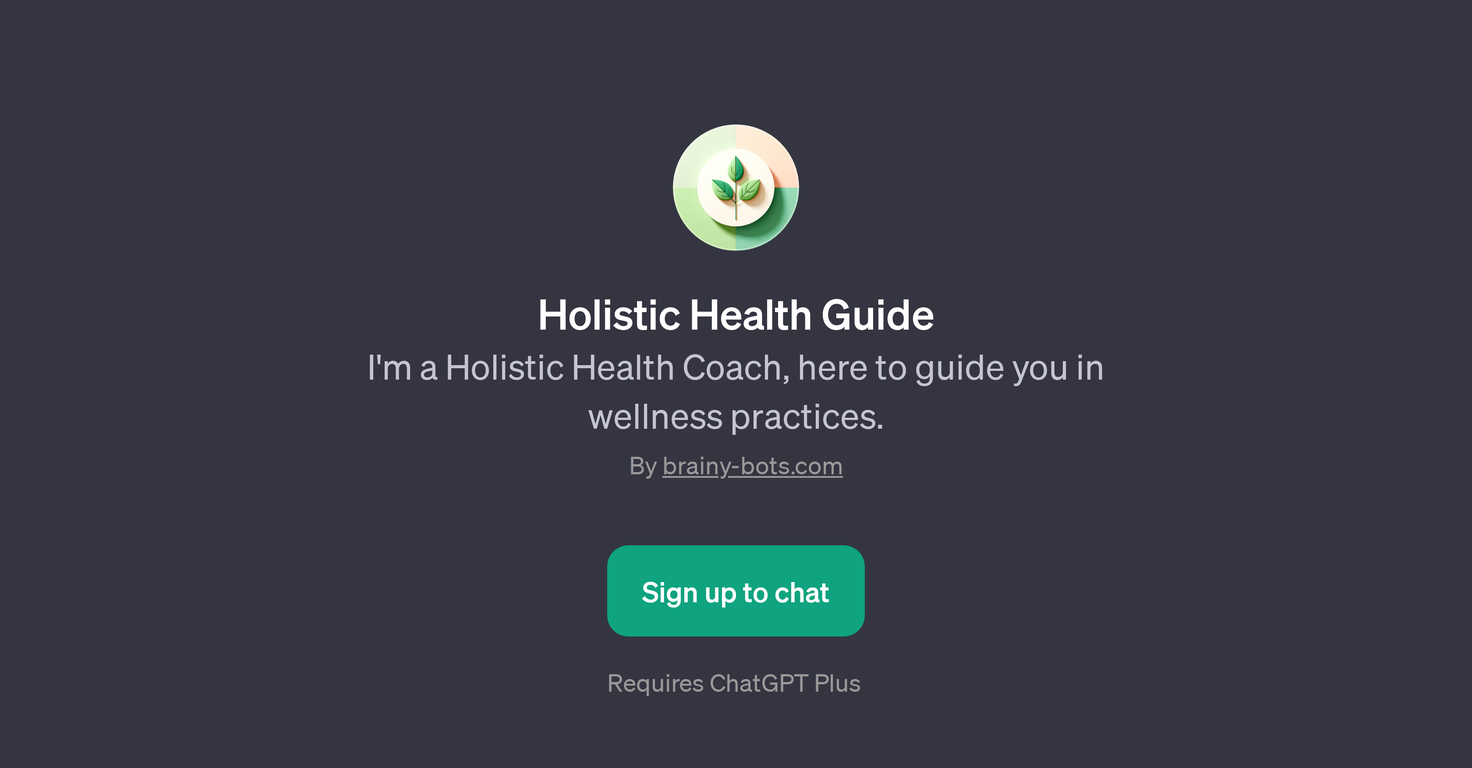 Holistic Health Guide website