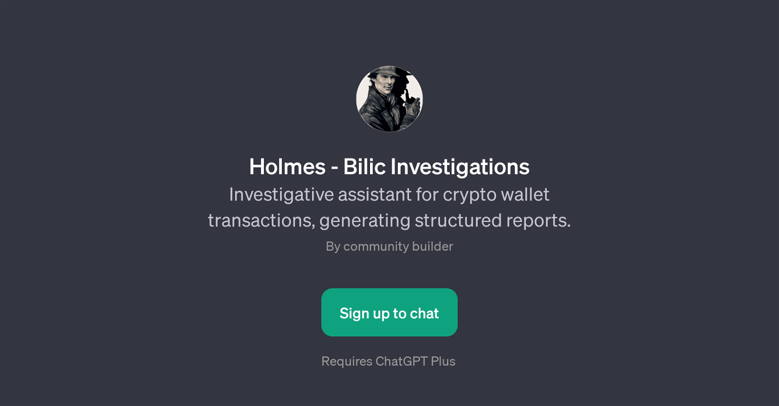 Holmes - Bilic Investigations website