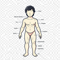 Alternate Reality Simulator With Human Body